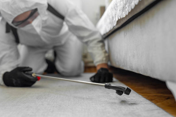 Professional Bed Bug Control technician working in Charlton County County, GA